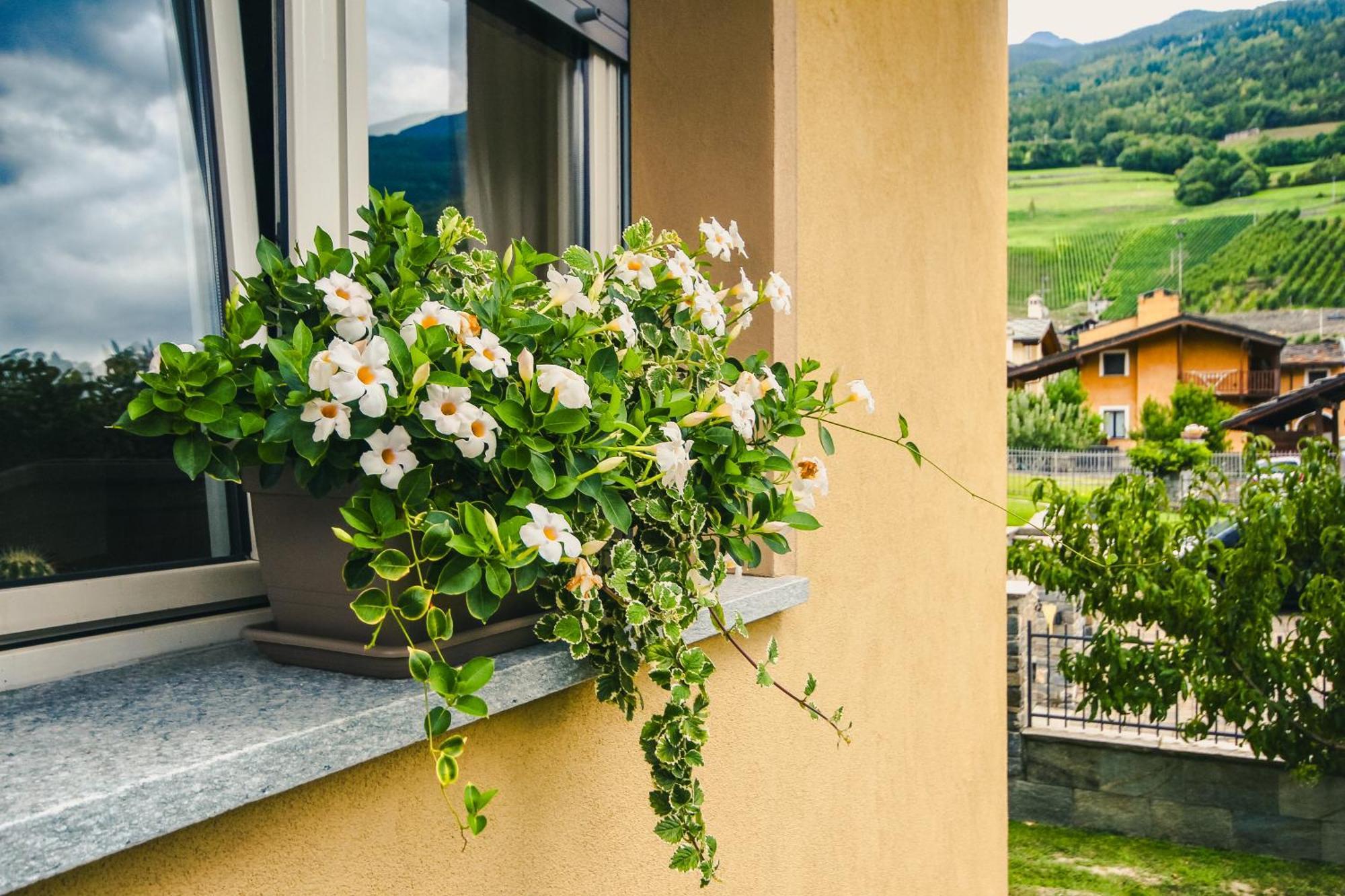 Apartment L'Envers Aosta Kültér fotó